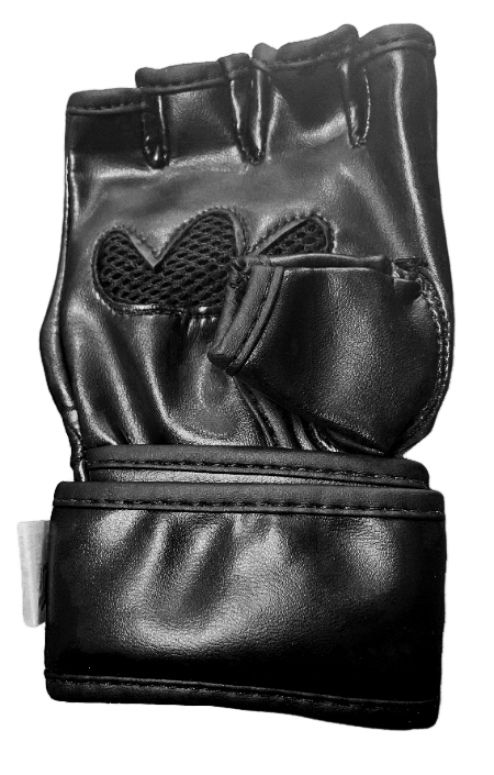 Gants MMA standard